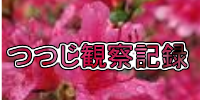 banner banner