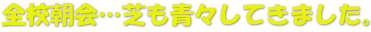 全校朝会…芝も青々してきました。