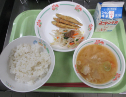 給食