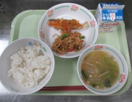 給食
