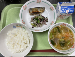 給食