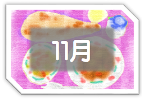１１月