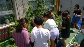 新宿区立市谷小学校