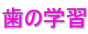 歯の学習