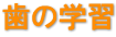 歯の学習