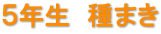 ５年生　種まき