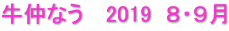 牛仲なう　 2019  ８・９月