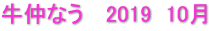 牛仲なう　 2019  10月
