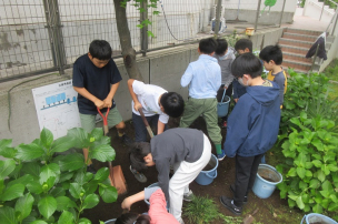 image image