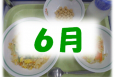 6月