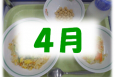 4月