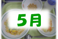 5月