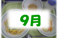 9月