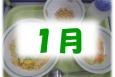 1月