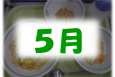 ５月