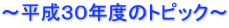 ～平成３０年度のトピック～