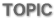 ＴＯＰＩＣ