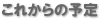 これからの予定